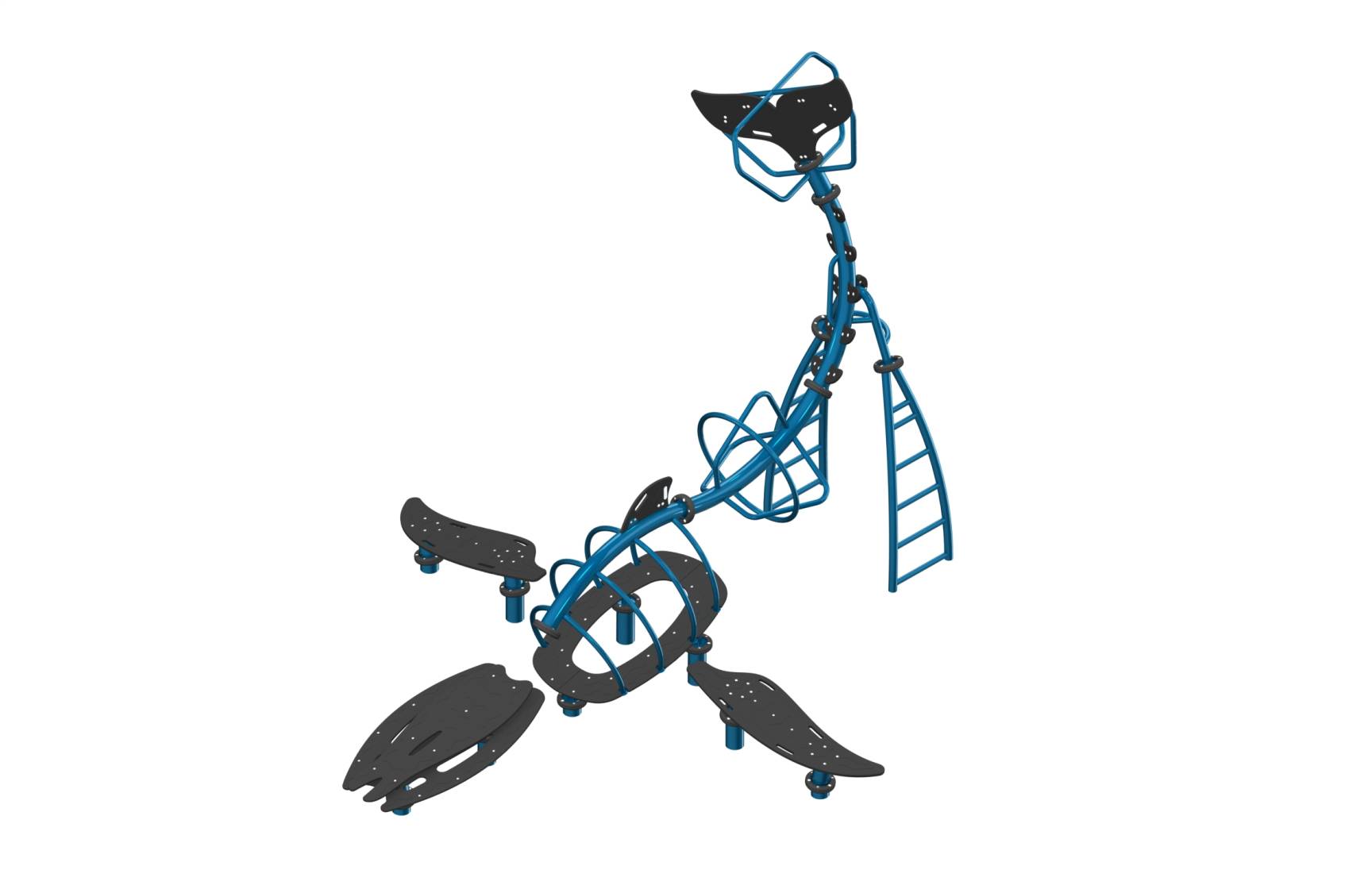 le-rorqual-g-13001